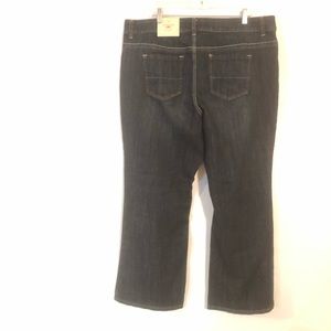 Cato Contemporary Flare  Leg Jeans Women Size 20 W